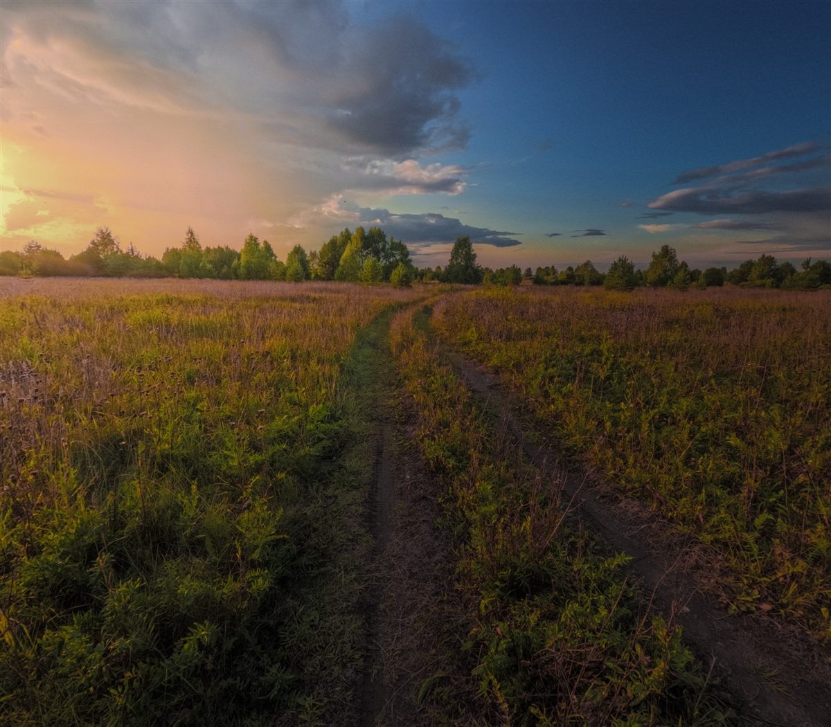Country road through a field toward the horizon at sunset