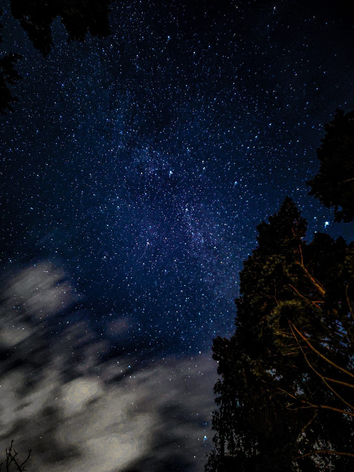 Astrophotography with trees and clouds