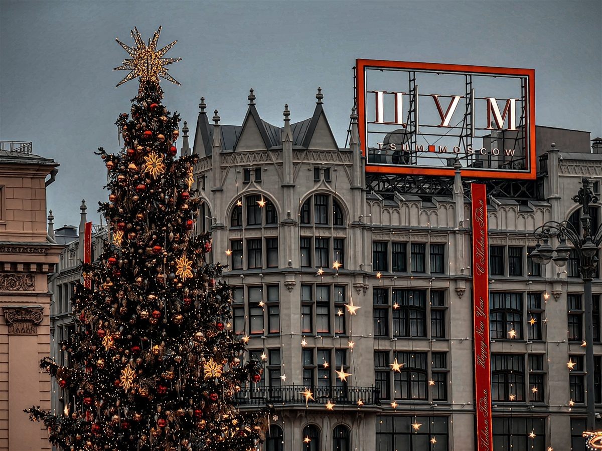 Decorated Christmas tree with city lights in the background